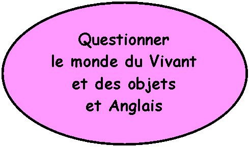 Questionner
