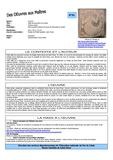 OAM 0091