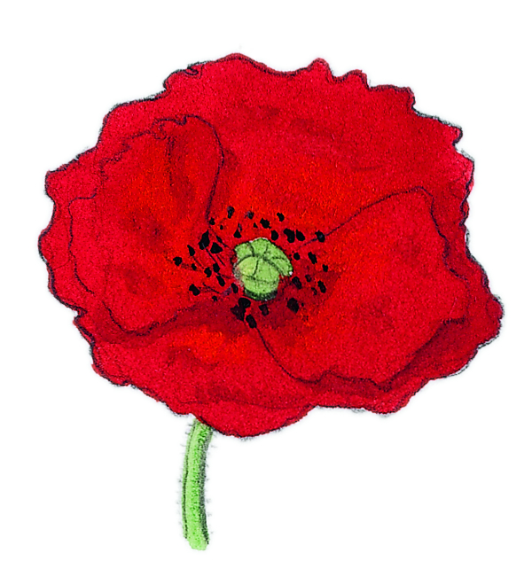 coquelicot fmz