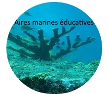 B3 aires marines educatives
