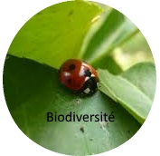 biodiversite2