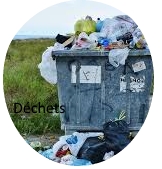 dechets