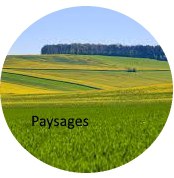 paysages