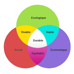 devpt durable