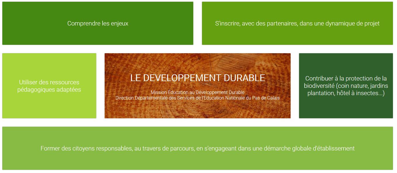 SITE EDD