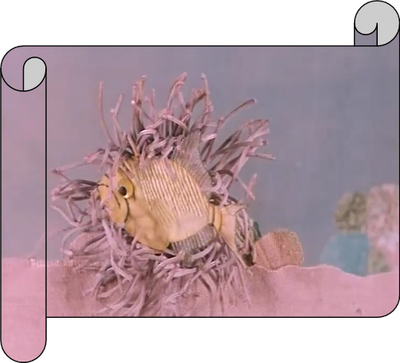 Extrait 5 Extrait 5