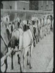 icône attelage d'un camion