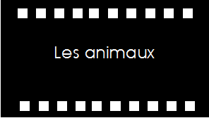 Les animaux   bouton