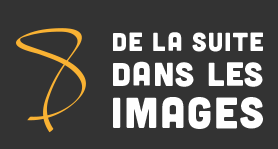 logo delasuitedanslesimages