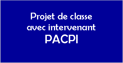 Projet PACPI